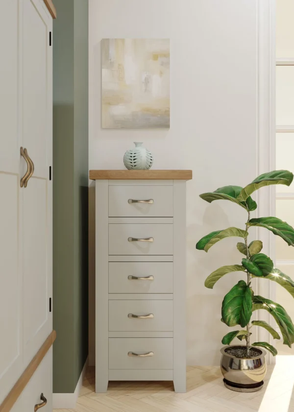 Wiltshire Painted 5 Drawer Tall Chest - Image 5
