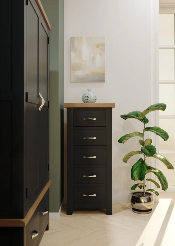 Wiltshire Painted 5 Drawer Tall Chest - Image 4