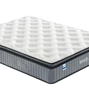 HoneyB Galaxy Mattress
